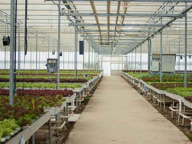 kaliteli-sera-ısıtma-pelet-brülörleri-imalatı-ve-satışı